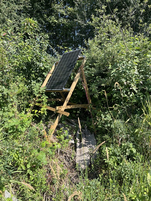 A singular solar panel erected onto a wooden frame surrounded by grass, bushes and trees.